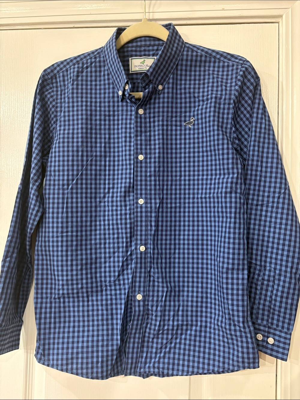 Vineyard Vines Blue and Navy Gingham Button-Down Shirt